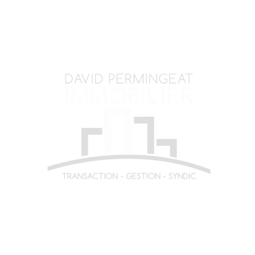 David Permingeat Immobilier