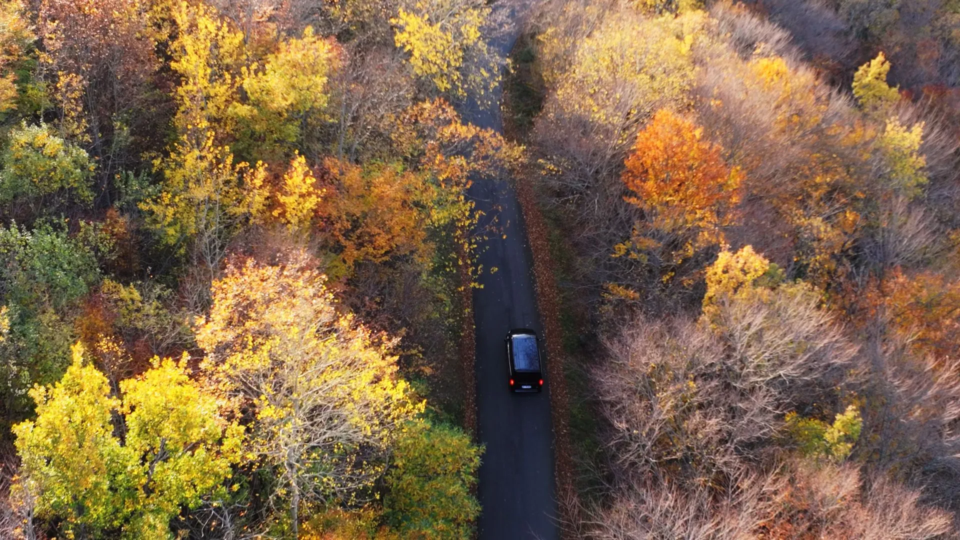 Vue aérienne par drone d'un van noir sur une route forestière en automne