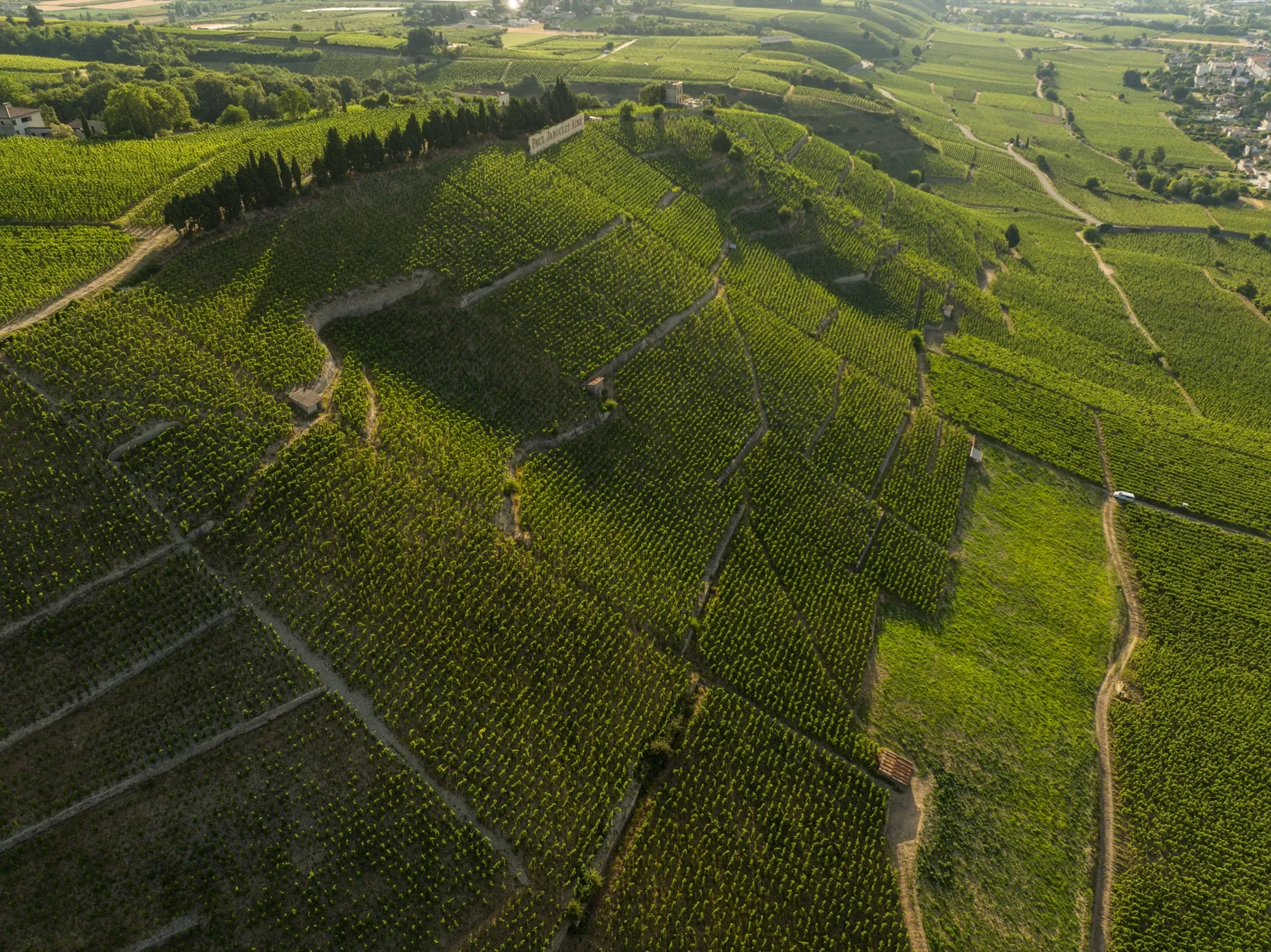 La colline de l'Hermitage et ses terrasses de vignes vues du ciel au lever du jour