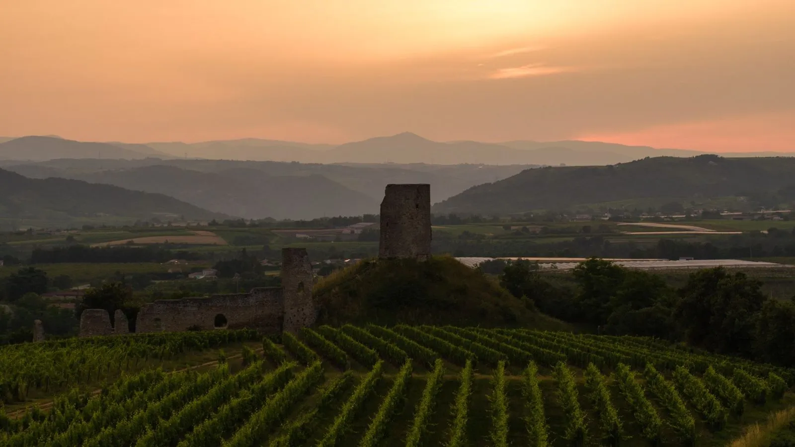 Coucher de soleil sur les vignes et un mas en pierre, Crozes-Hermitage
