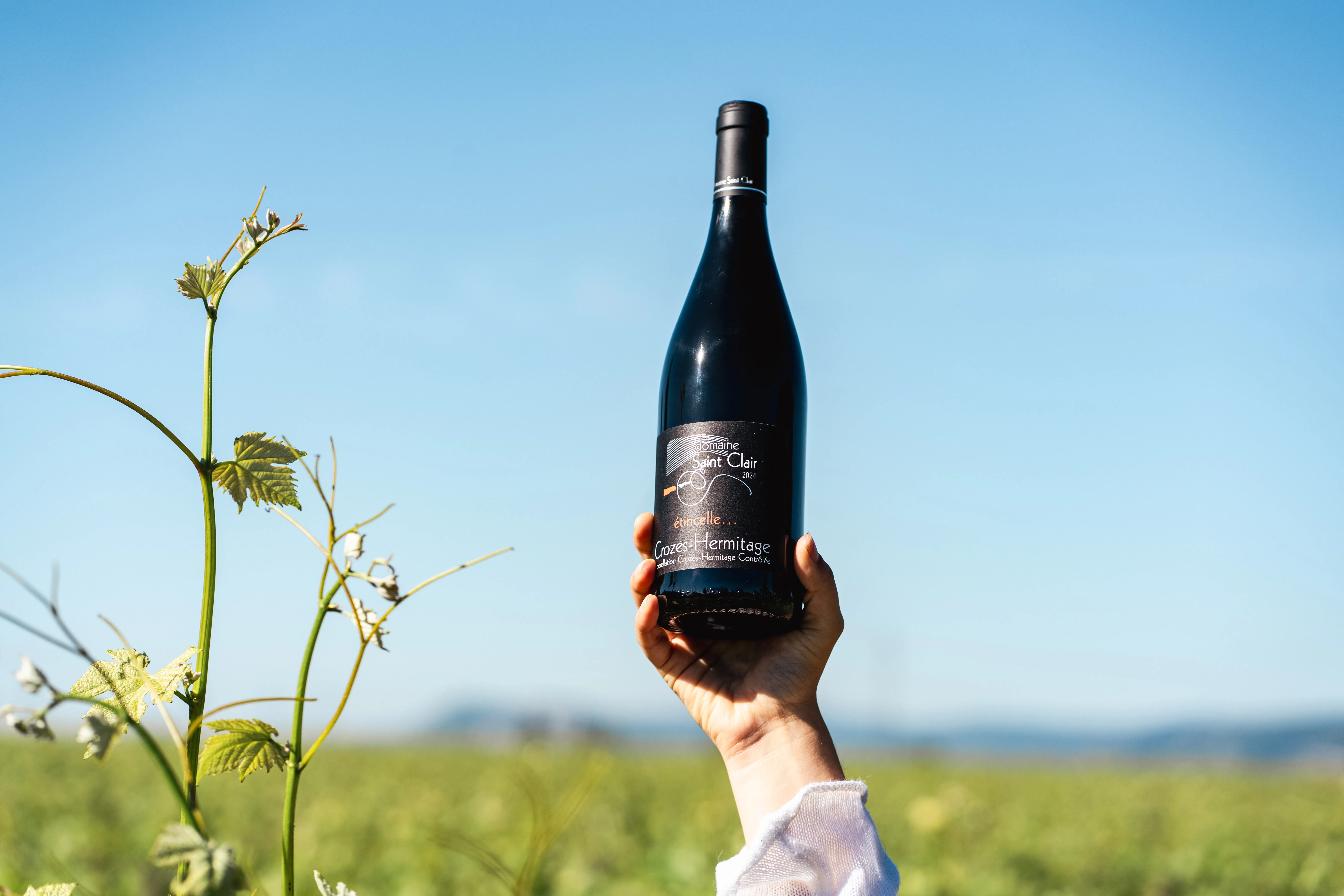 Bouteille Étincelle Crozes-Hermitage du Domaine Saint Clair tenue face au ciel, jeune pousse de vigne au premier plan