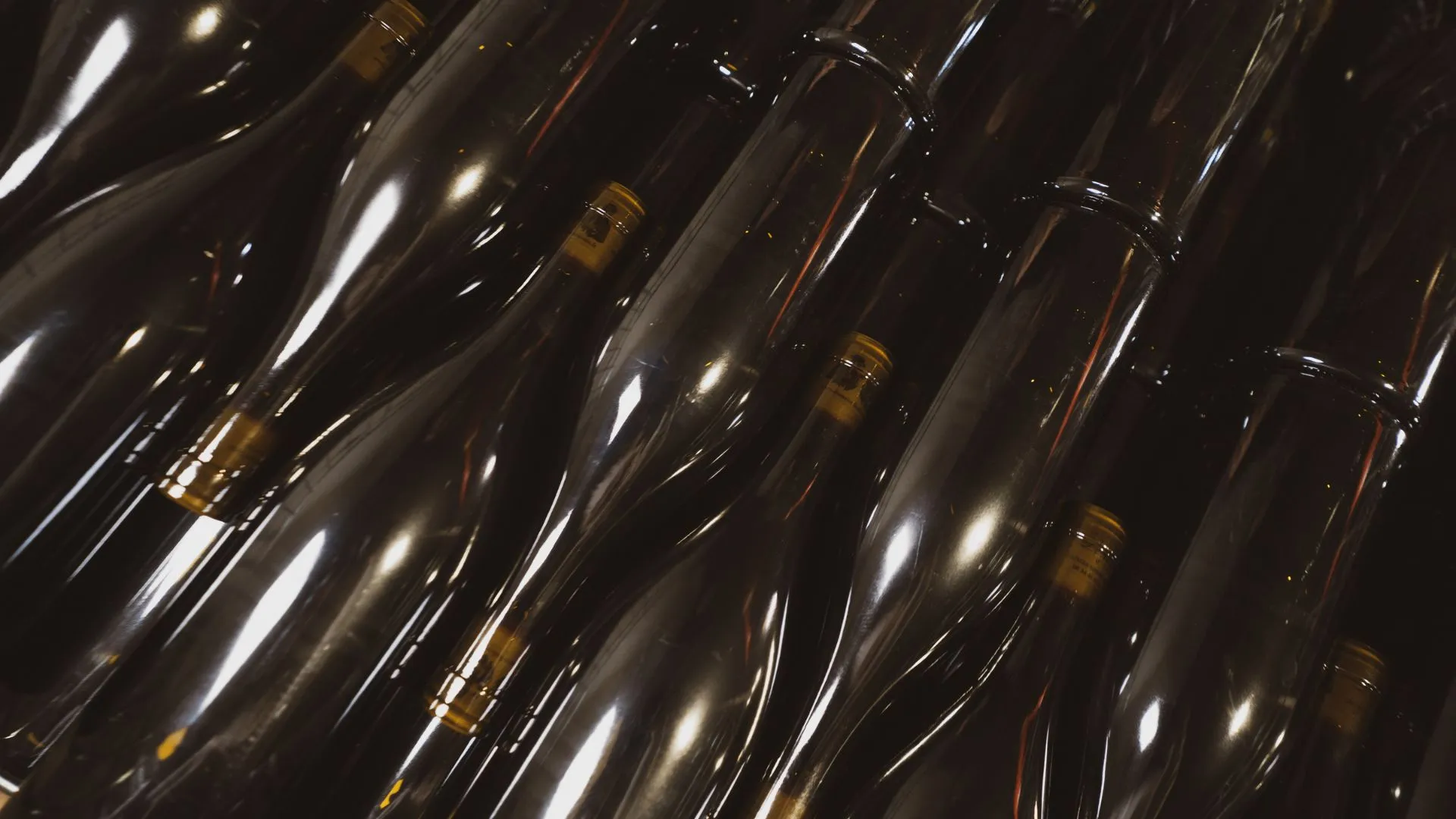 Bouteilles de vin empilées dans le chai du Domaine des Louis