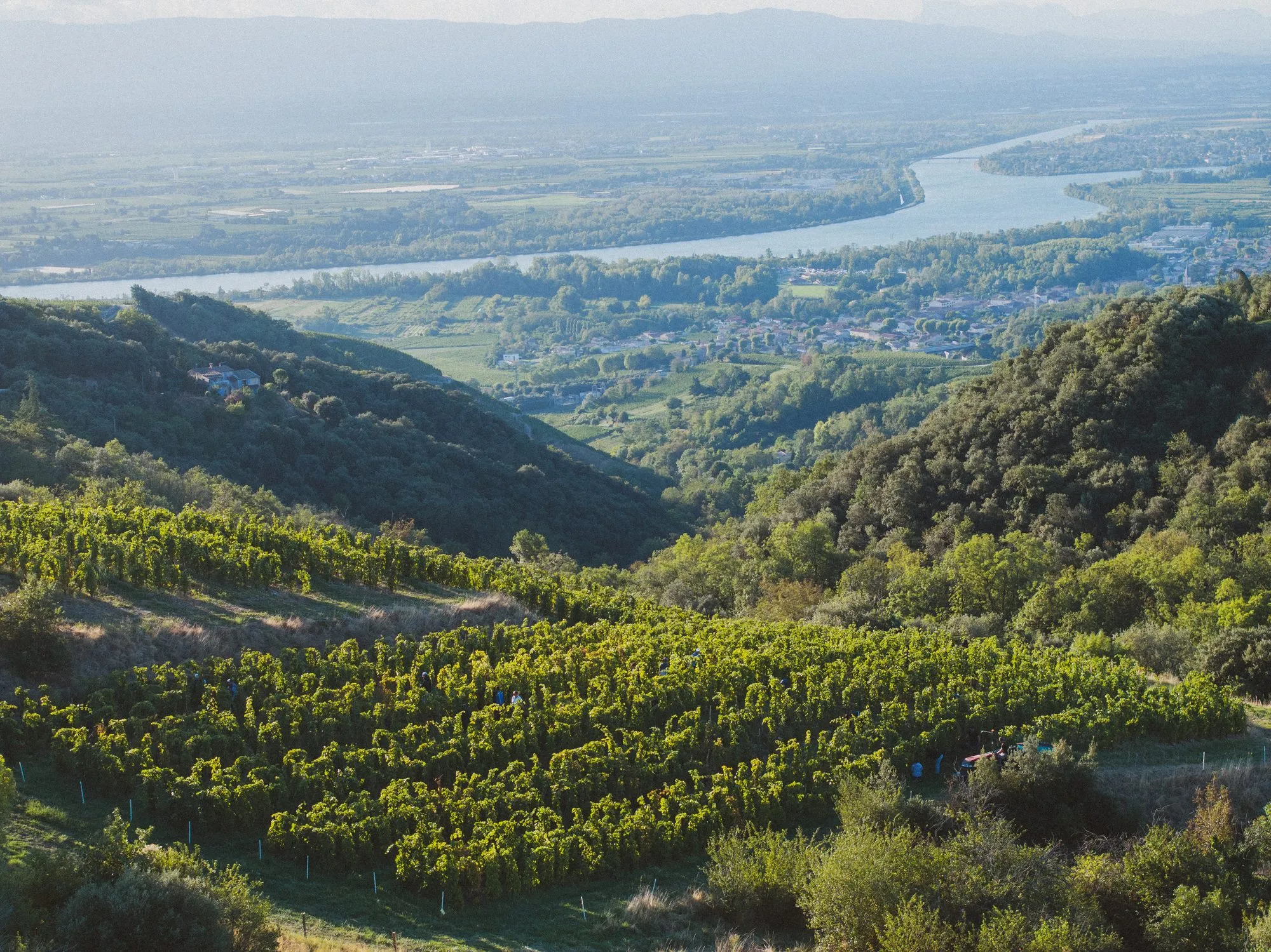 Vue aérienne par drone des coteaux de vignes en terrasses au-dessus de la vallée du Rhône