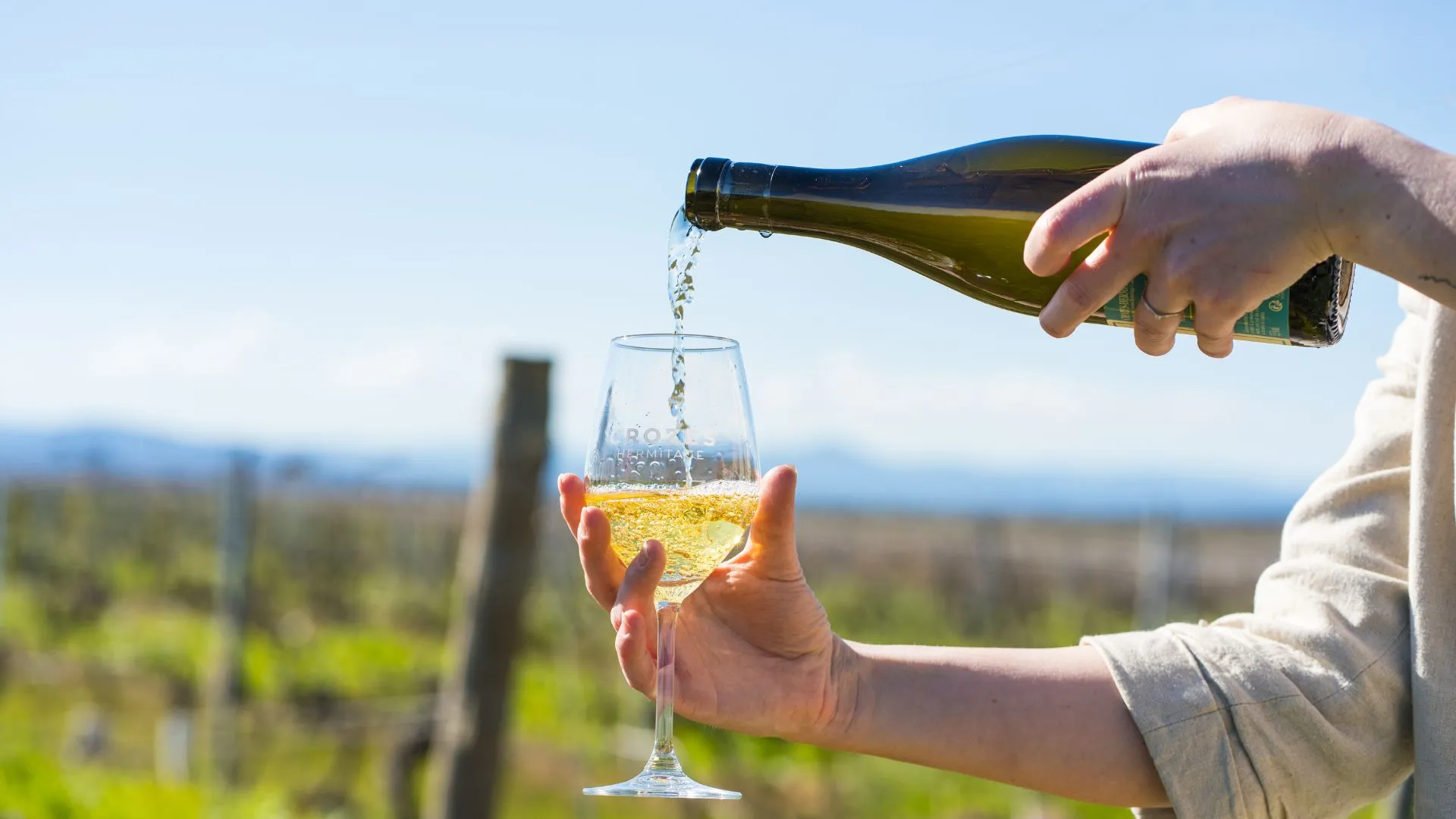 Service d'un vin blanc dans un verre gravé Crozes-Hermitage devant les vignes
