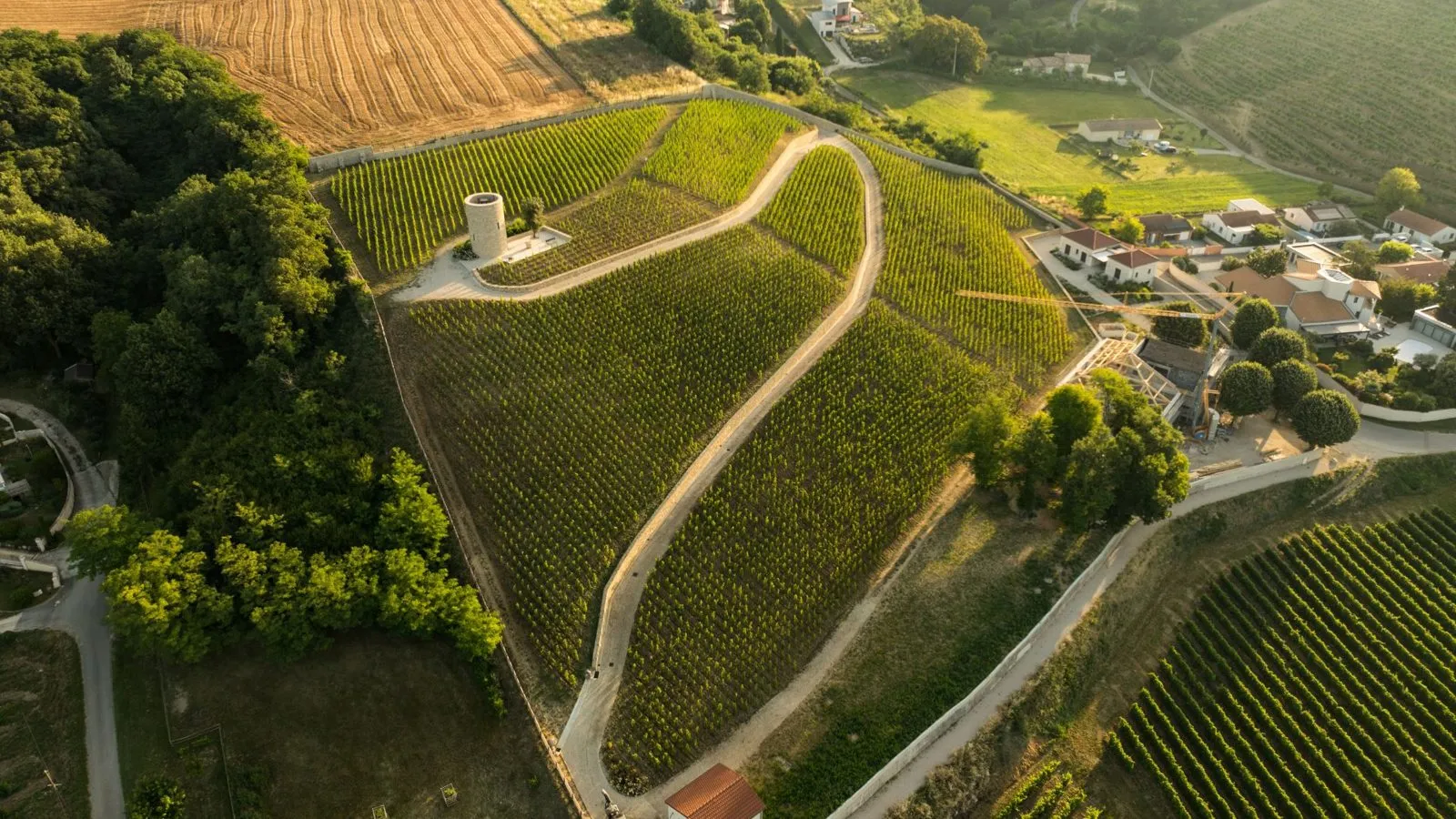 Vue aérienne d'un vignoble en coteaux avec une chapelle