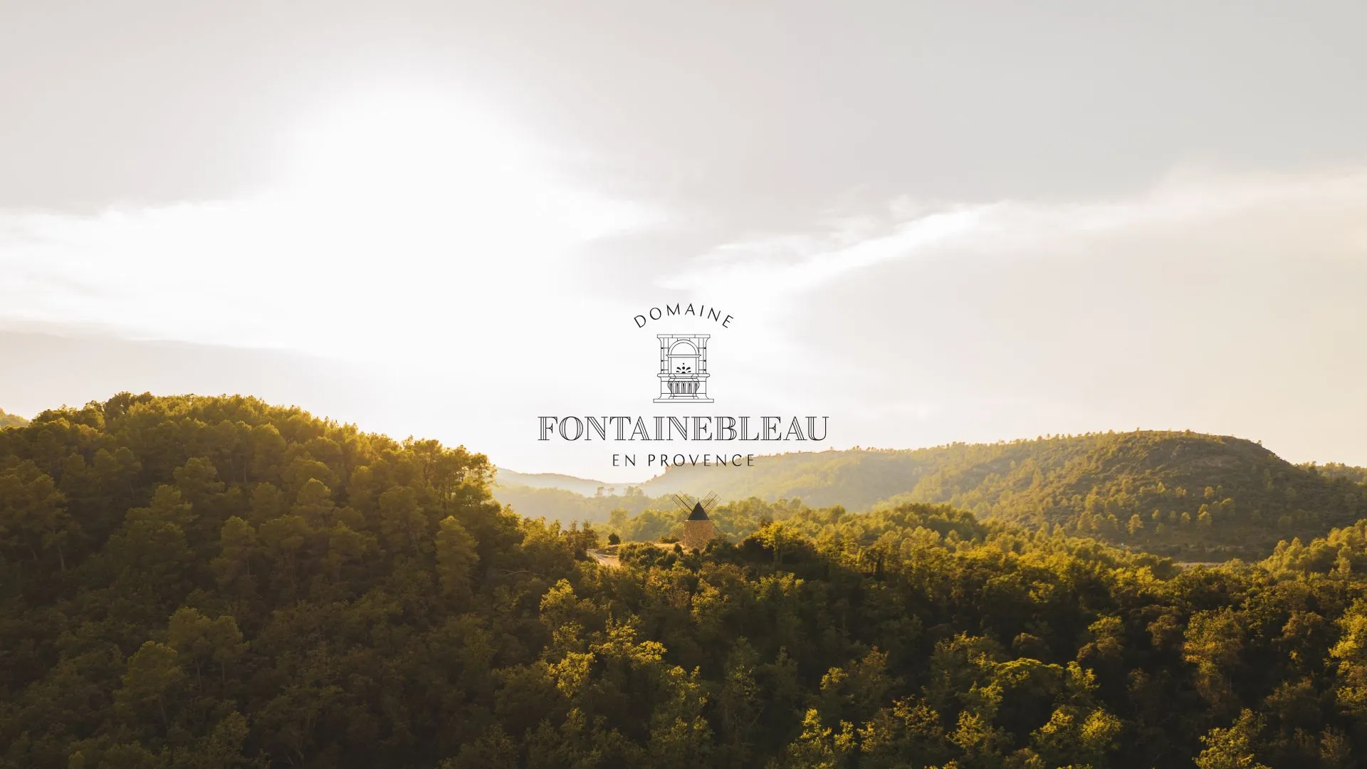 Vignes de Fontainebleau de Provence au moment des vendanges, vue drone