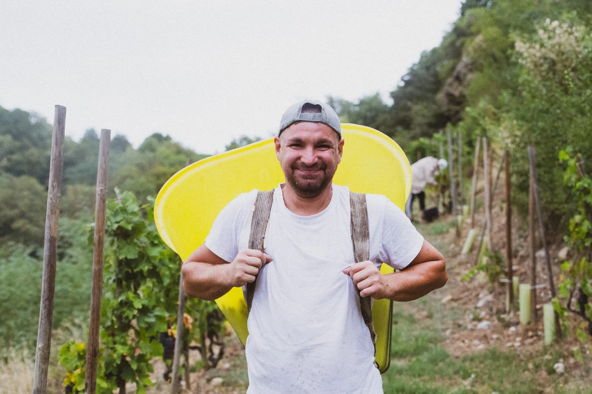Porteur souriant avec sa hotte jaune dans un rang de vigne en pente