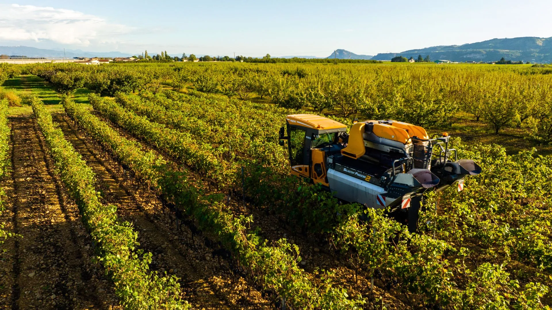Vue aérienne par drone d'une machine à vendanger Pellenc dans les rangs de vigne