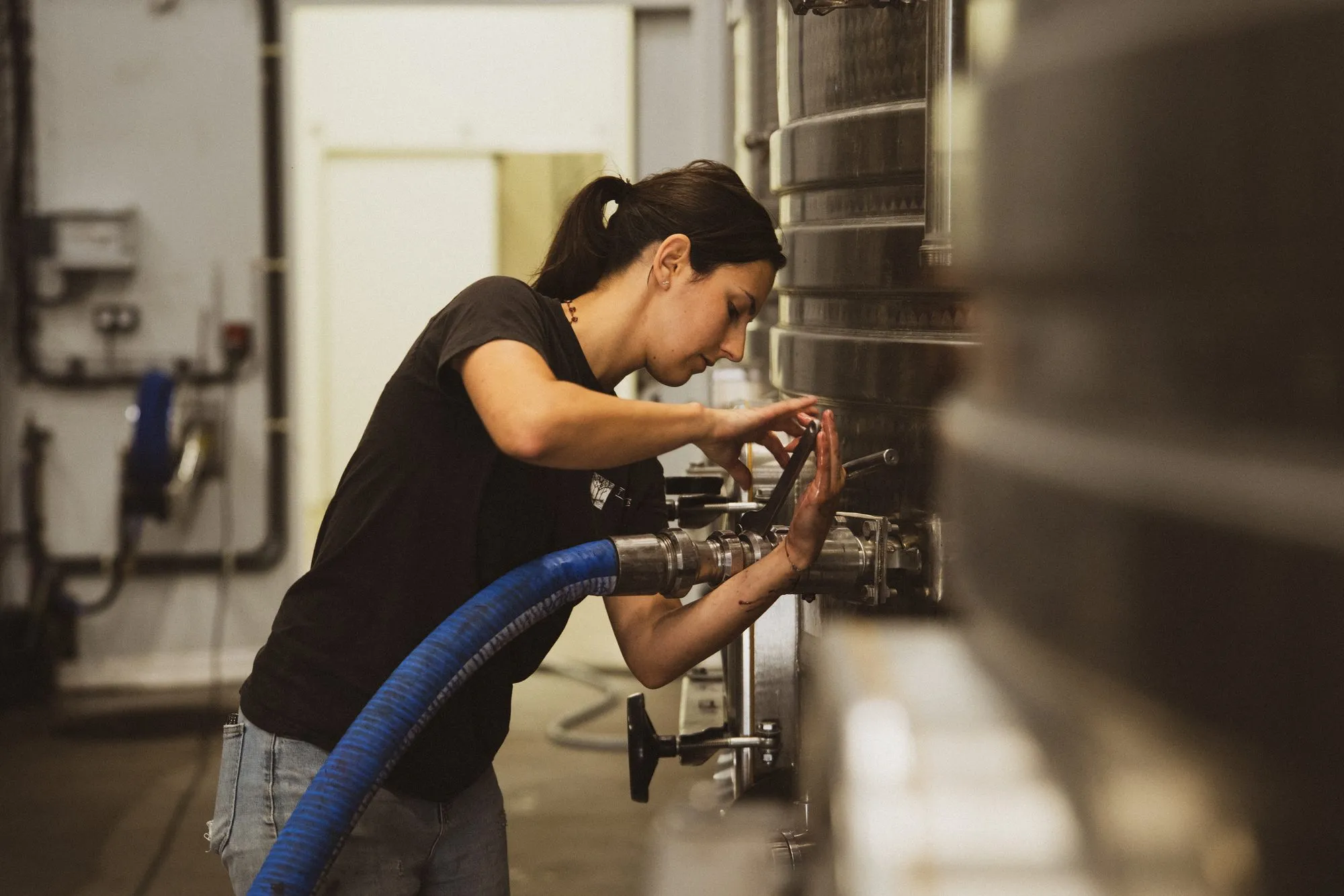 Travail en cuverie, branchement d'un tuyau sur une cuve inox