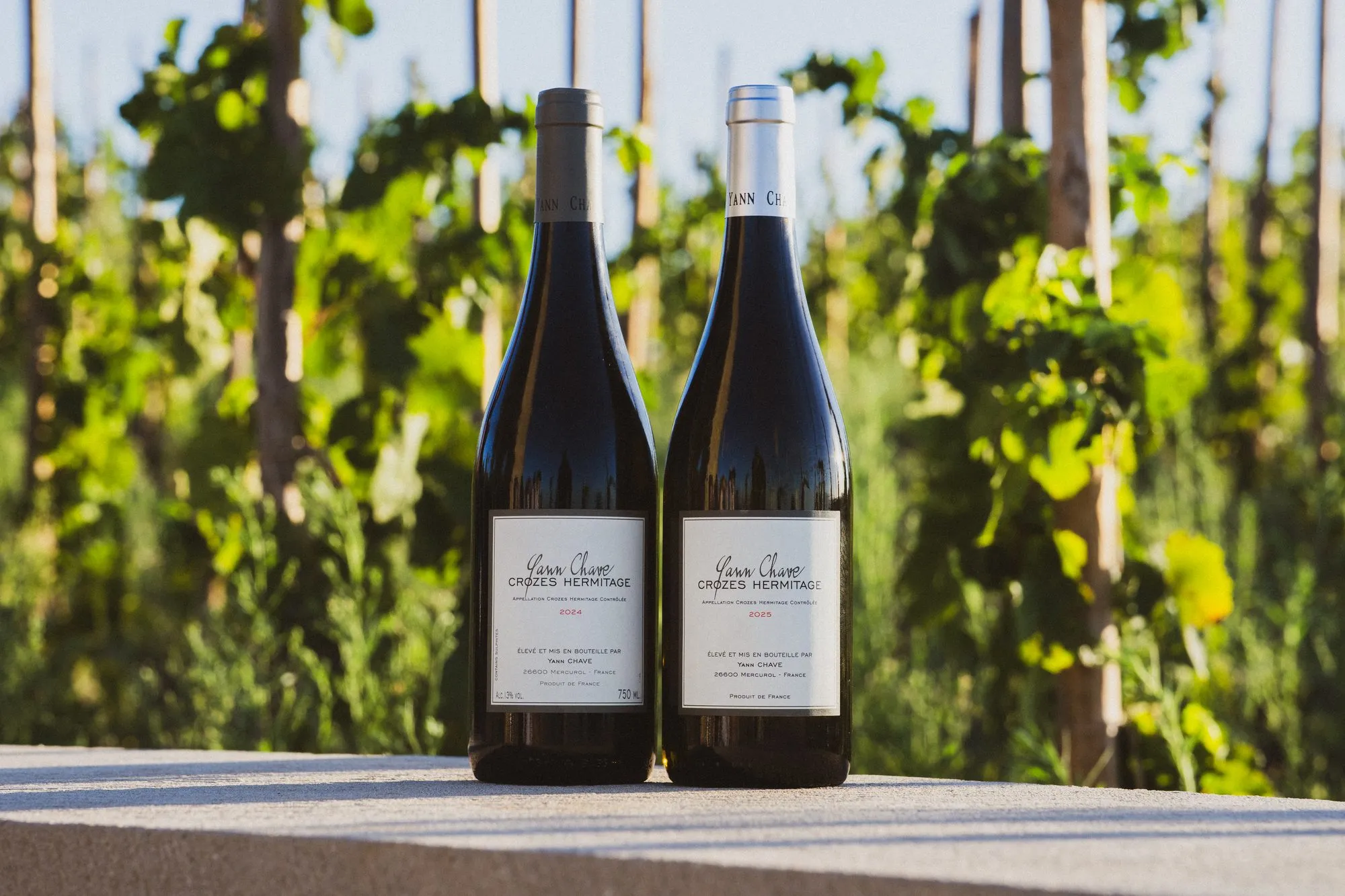 Deux bouteilles du Domaine Yann Chave posées au milieu des vignes