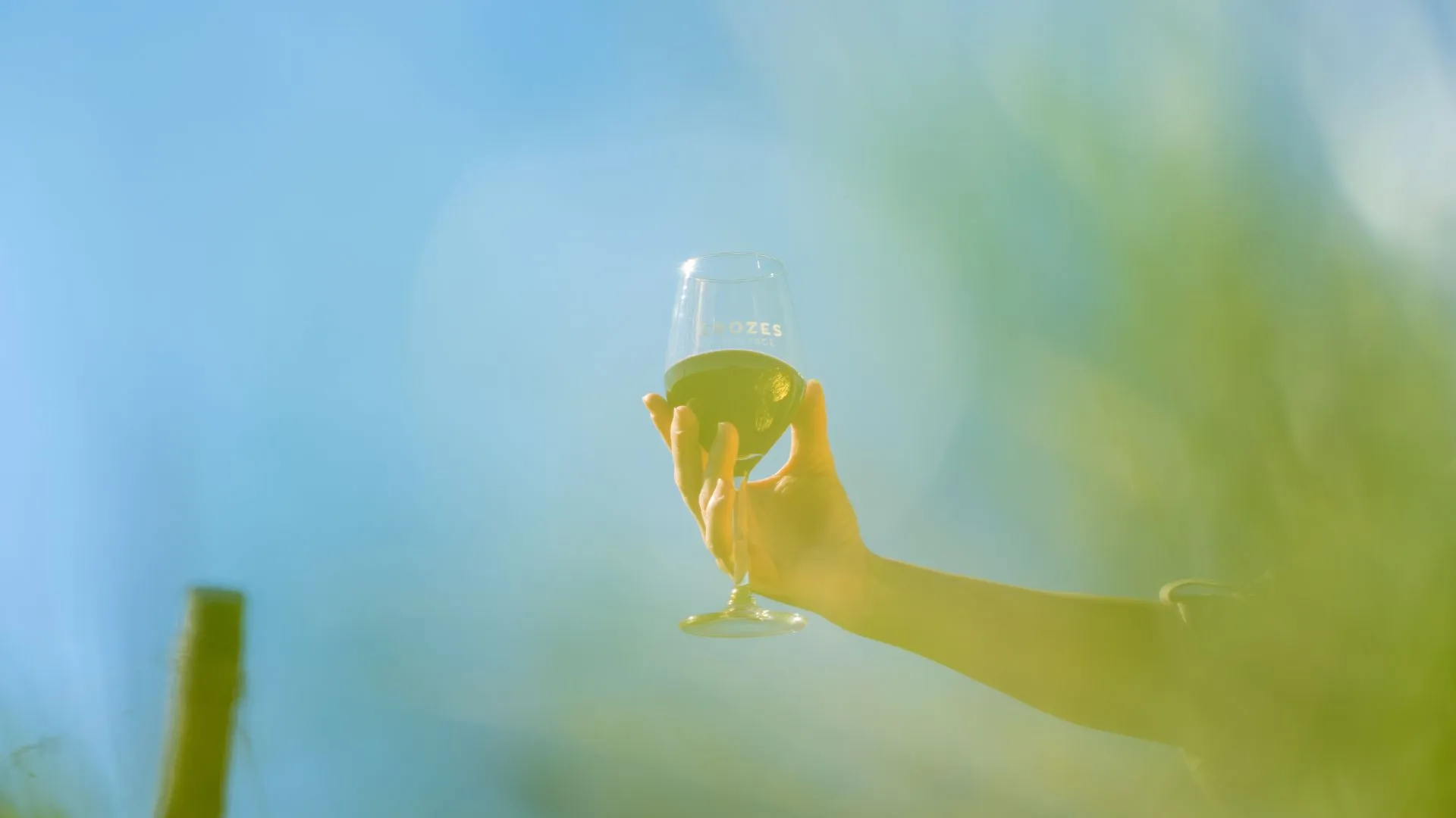 Verre de vin à contre-jour dans les vignes, lumière douce