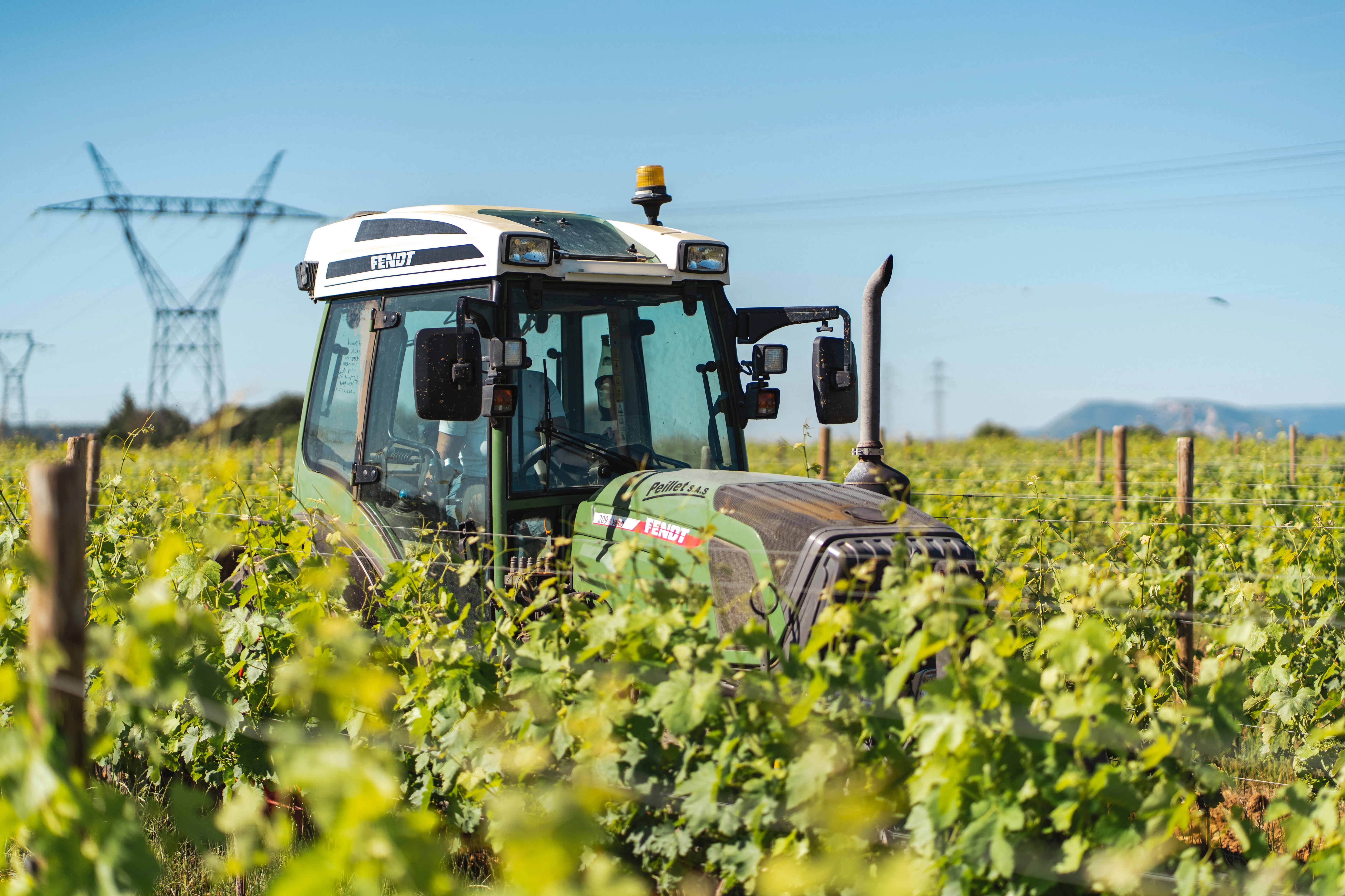 Tracteur Fendt entre les rangs de vigne au printemps sous un ciel bleu