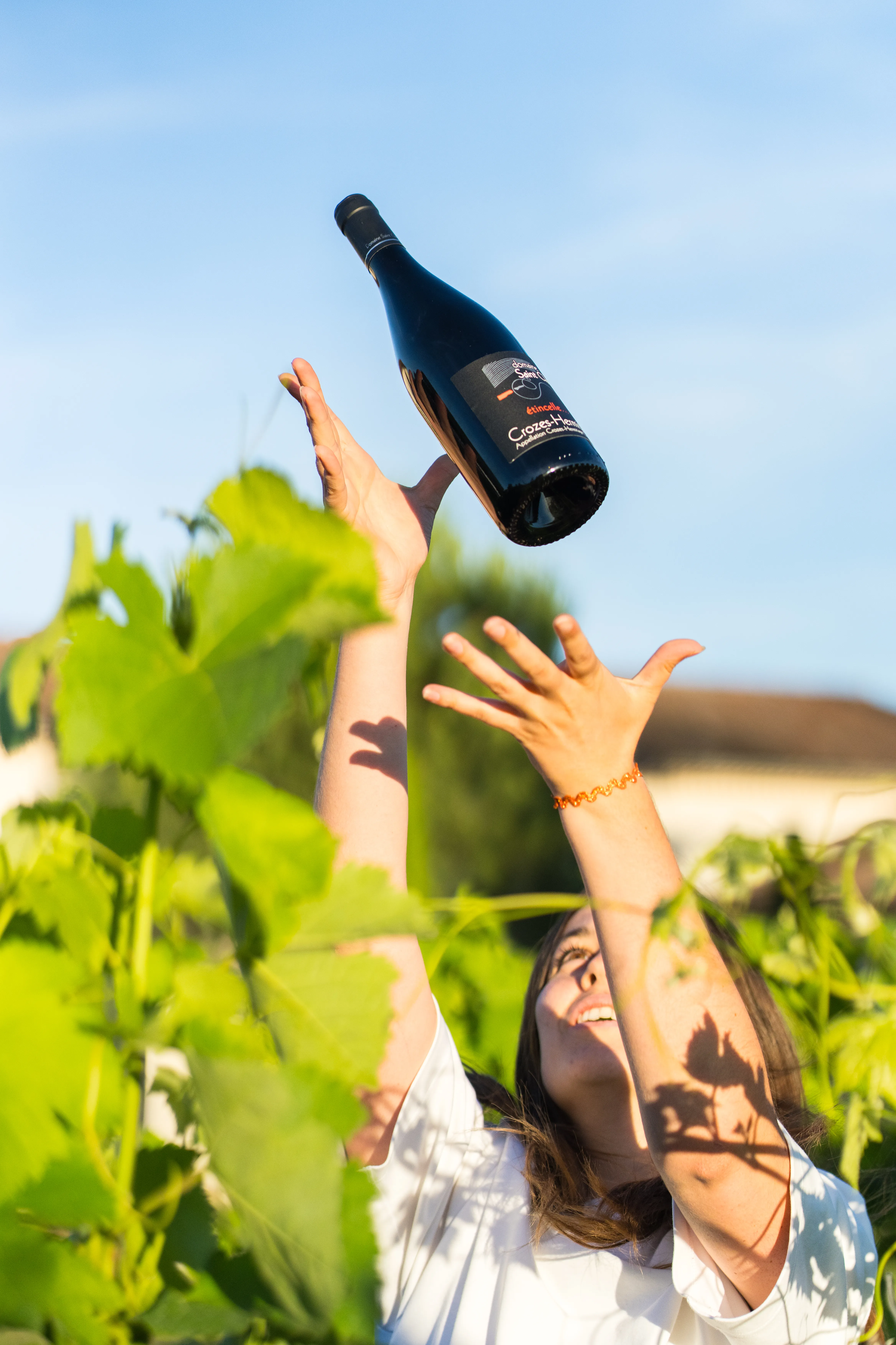 Bouteille Étincelle lancée en l'air dans les vignes, lumière de fin de journée