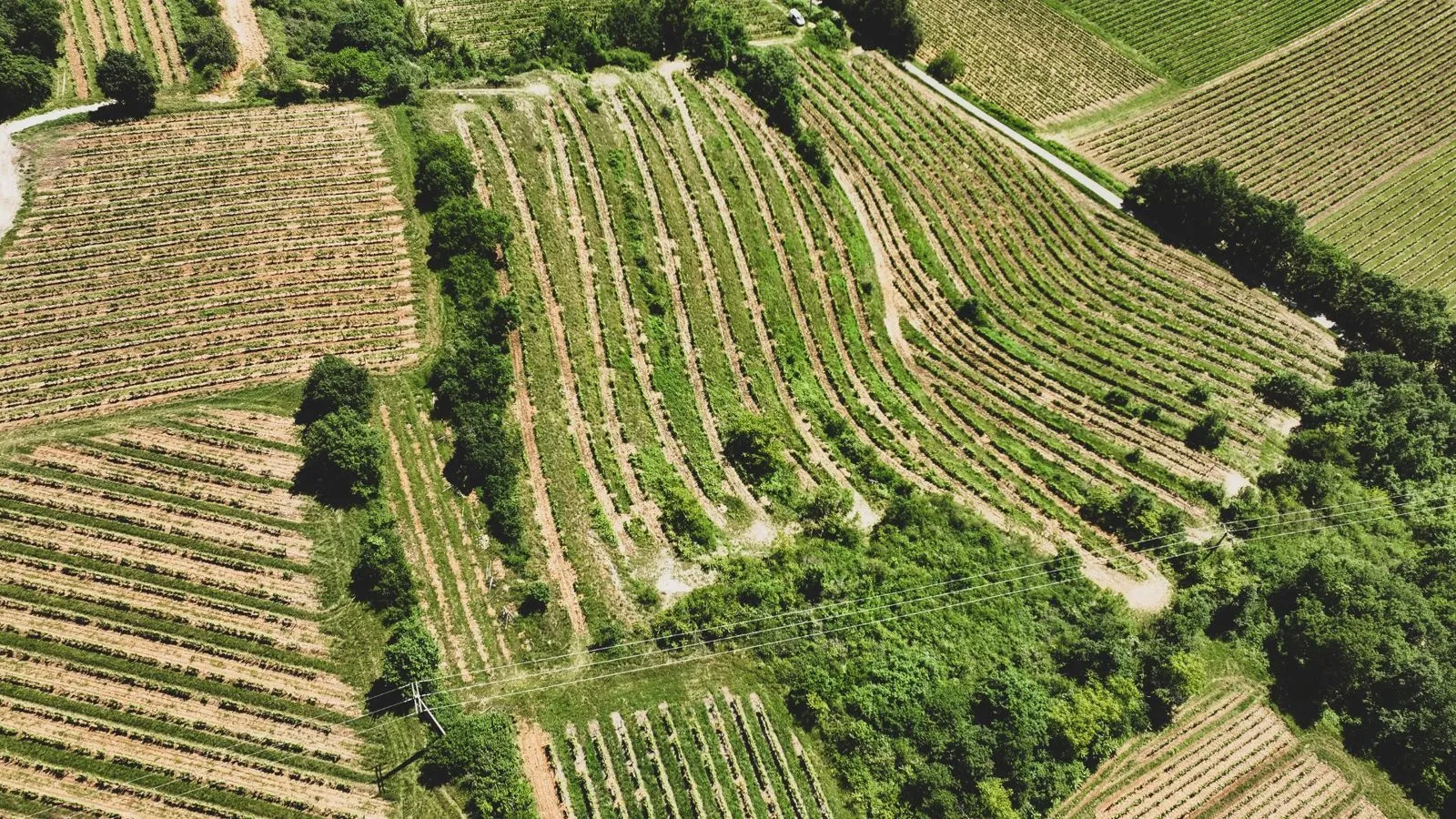 Domaine des Arcandres, contenus photo et vidéo en Vallée du Rhône