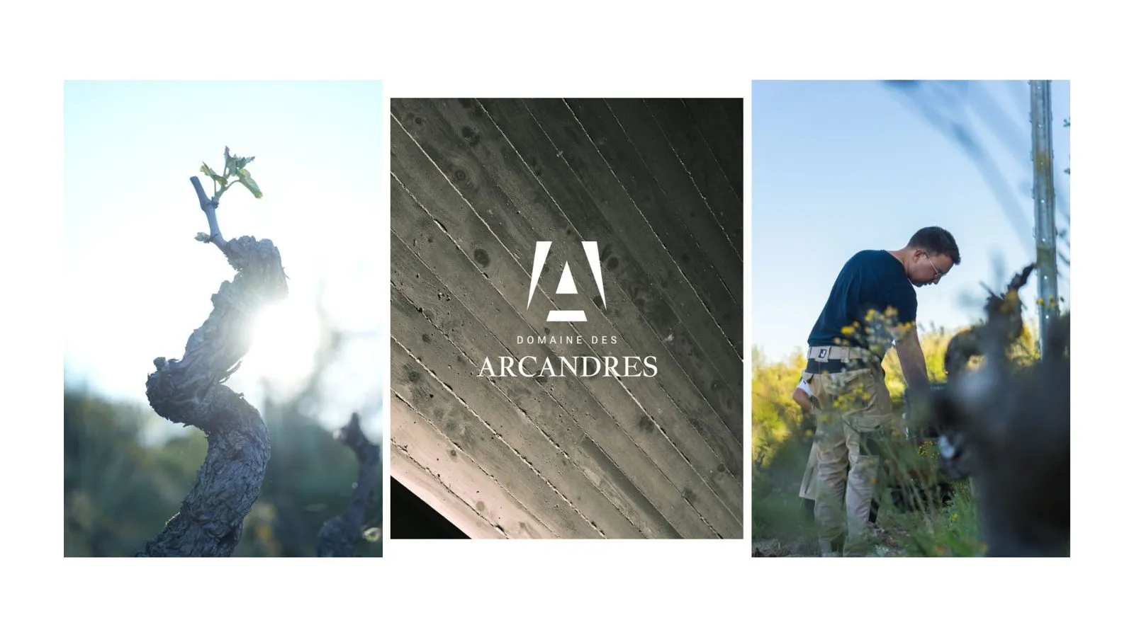 Domaine des Arcandres, contenus photo et vidéo en Vallée du Rhône