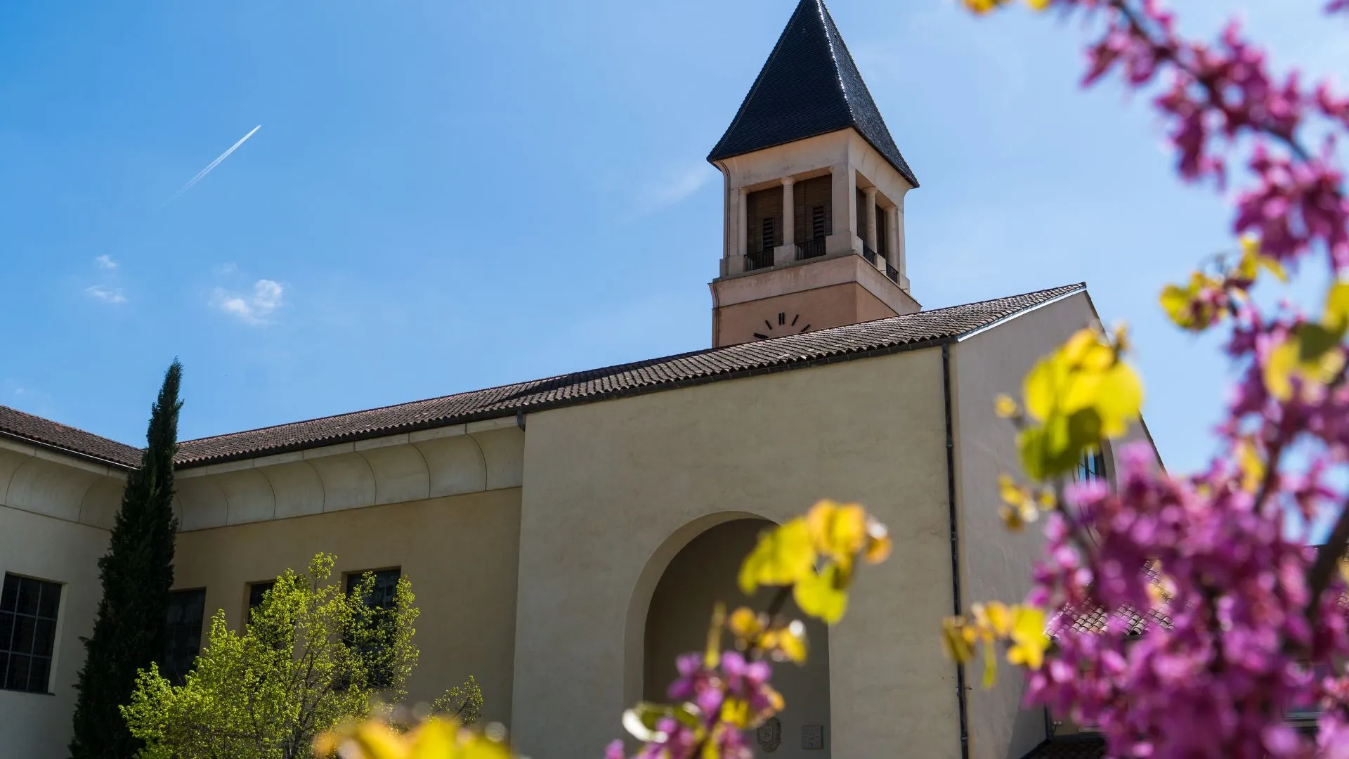 Clocher et façade d'un bâtiment patrimonial derrière un arbre en fleurs