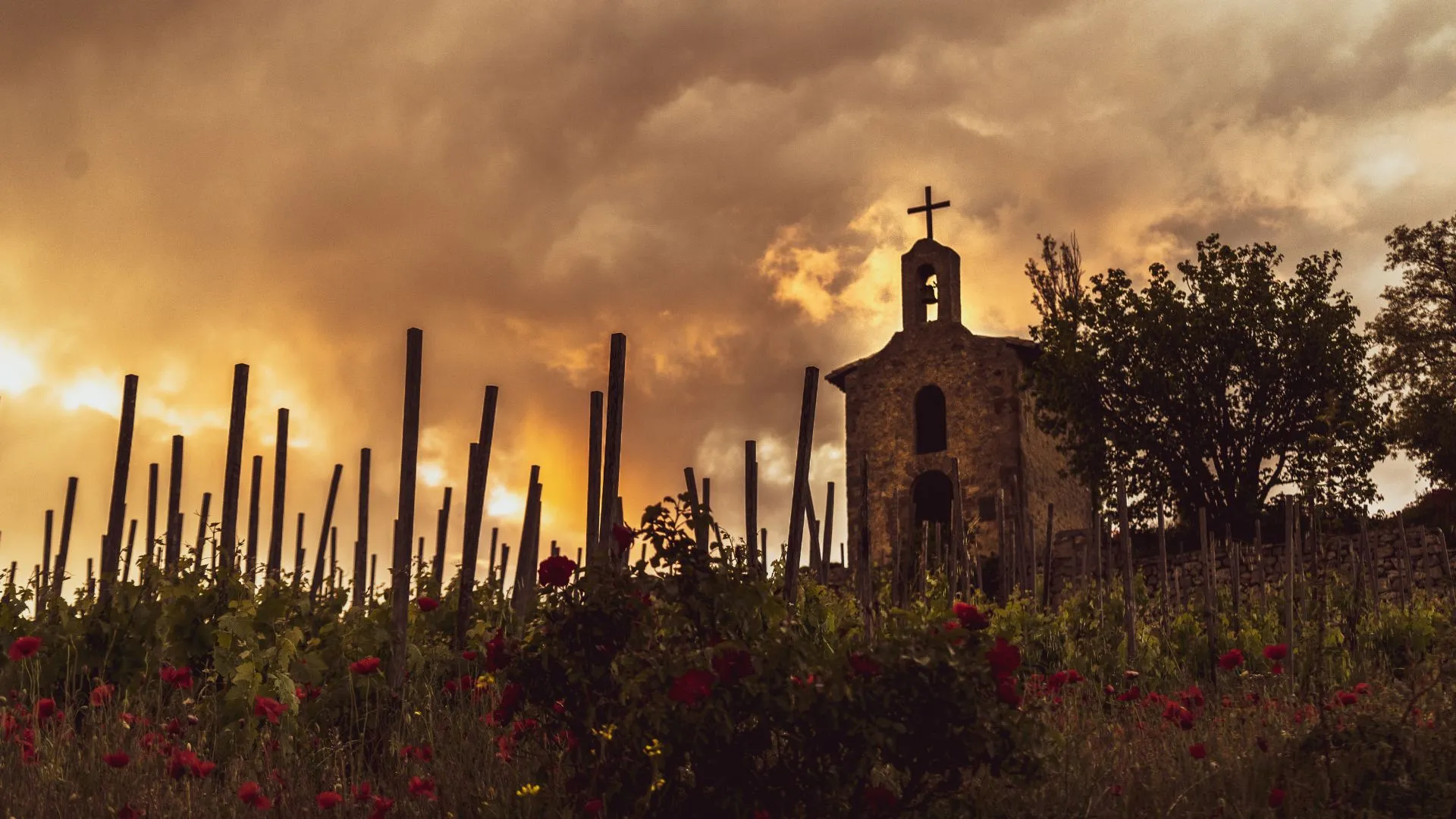 Chapelle dans les vignes au coucher du soleil, coteaux de l'Hermitage