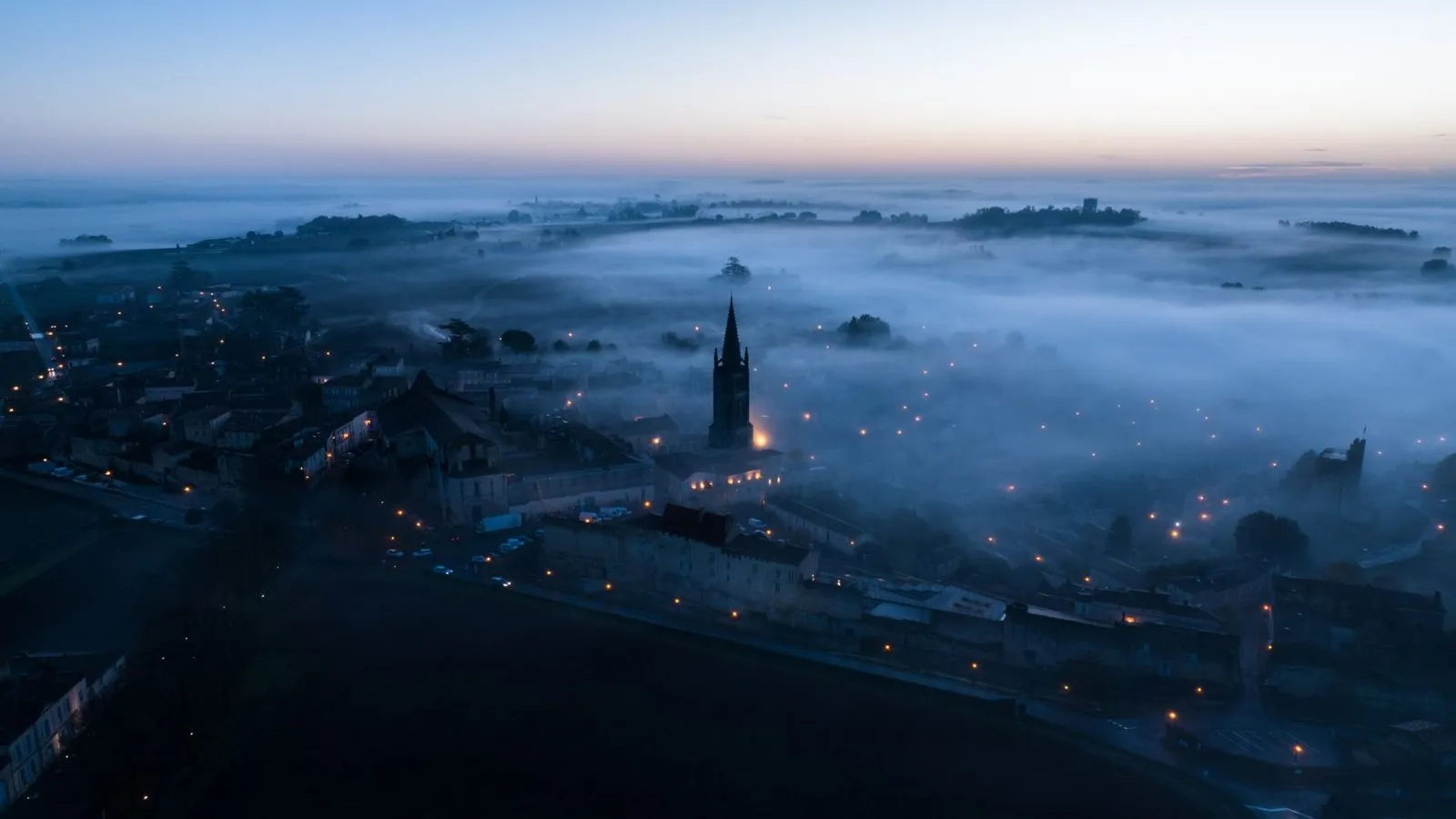 Vue aérienne d'un vignoble au lever du jour, brume sur les coteaux