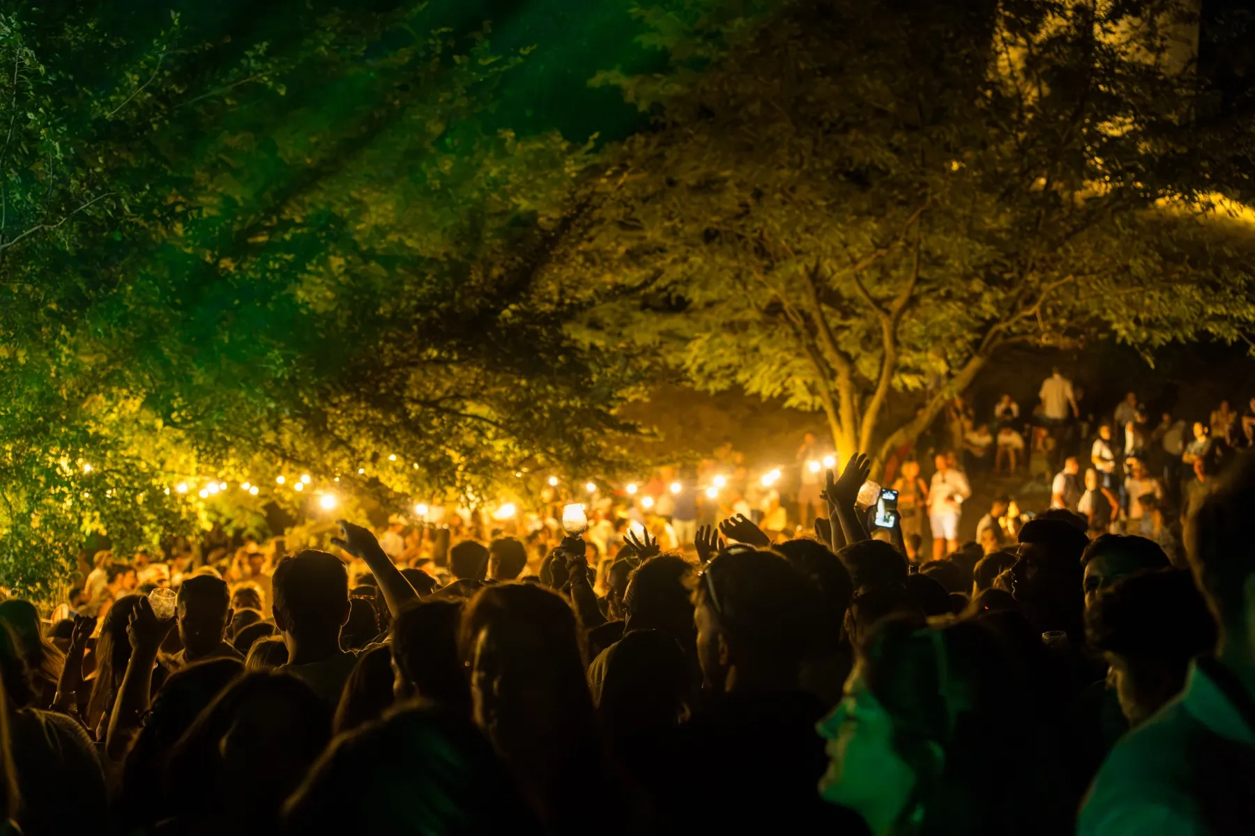 Dégustation dans la lumière dorée du soir, vue sur la vallée